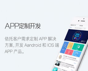 科技引領(lǐng)，匠心打造 中軟硅谷信息科技的 App 開發(fā)與網(wǎng)站推廣之道